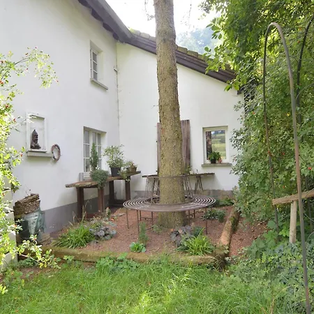 Cozy In With Fishing Near Apartment Immerath