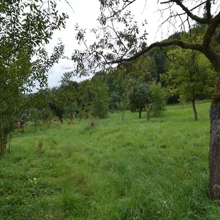 Cozy In With Fishing Near Apartment