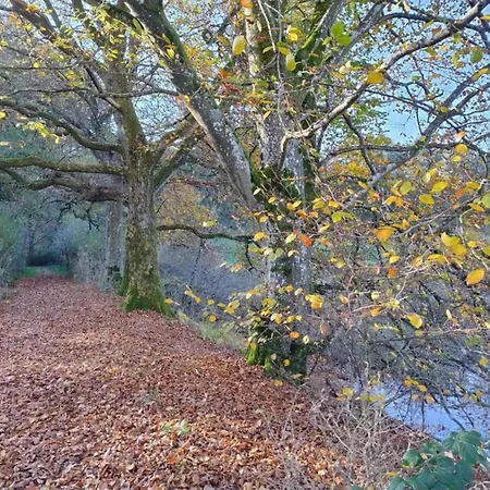 Apartment Cozy In With Fishing Near Immerath