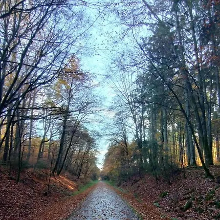 Cozy In With Fishing Near Apartment