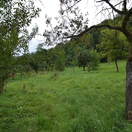 Apartment Cozy In With Fishing Near Immerath