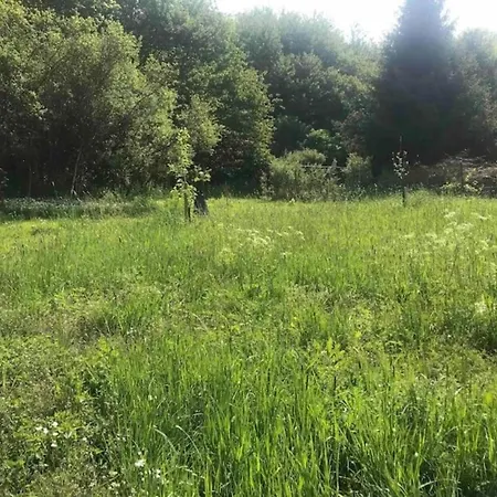 Apartment Cozy In With Fishing Near *