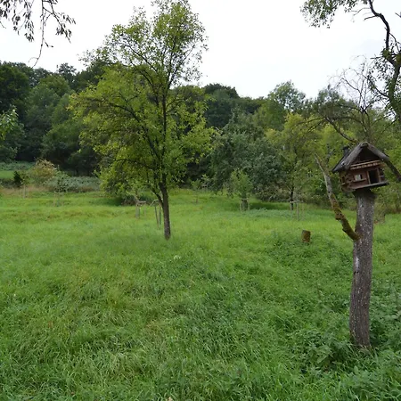 Apartment Cozy In With Fishing Near Immerath