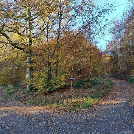 Cozy In With Fishing Near *