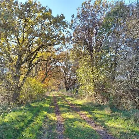 Cozy In With Fishing Near Immerath